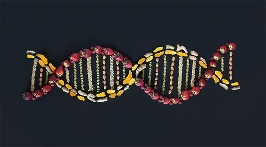 Anti-Ageing and Telomeres - Village Juicery