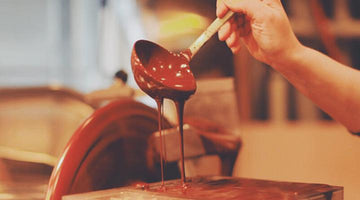 Talking cacao with ChocoSol's founder - Village Juicery