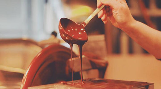 Talking cacao with ChocoSol's founder - Village Juicery