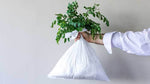 Waste Less, Every Day: Simple Changes for Sustainable Living