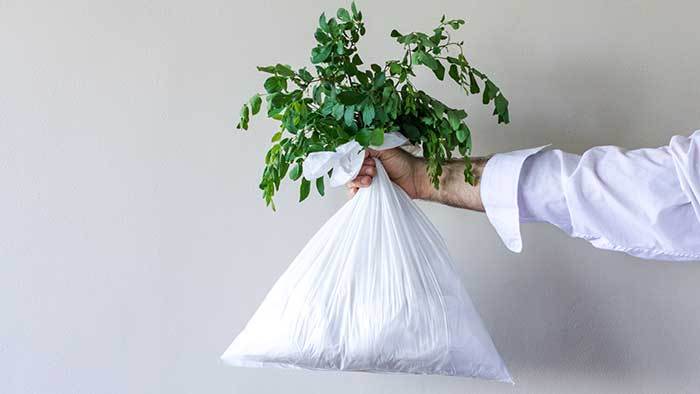 Waste Less, Every Day: Simple Changes for Sustainable Living - Village Juicery