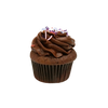 Chocolate Cupcakes
