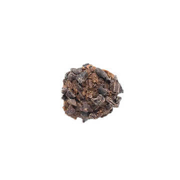 Double Cacao Raw Bites