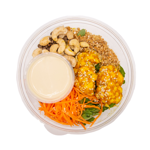 Plant Protein