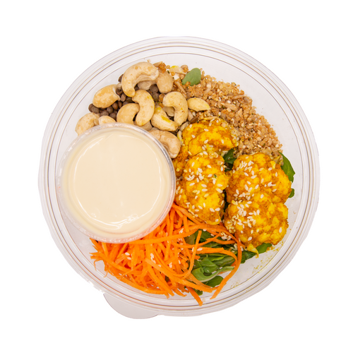 Plant Protein