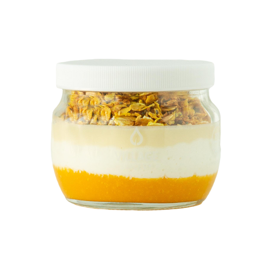 Village Juicery Tropiical Protein Bar