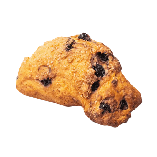 Blueberry Lemon Scone