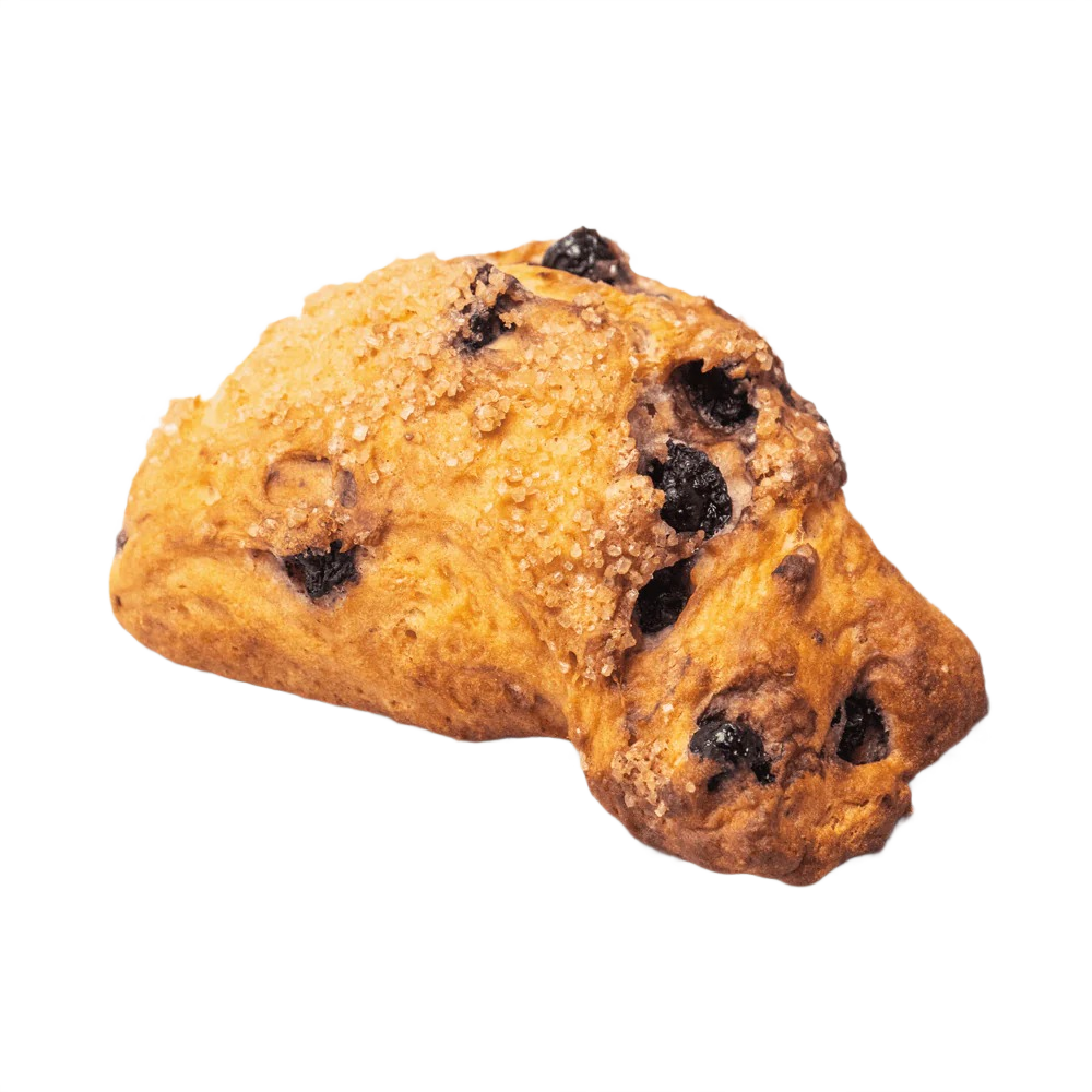 Blueberry Lemon Scone (6pk)
