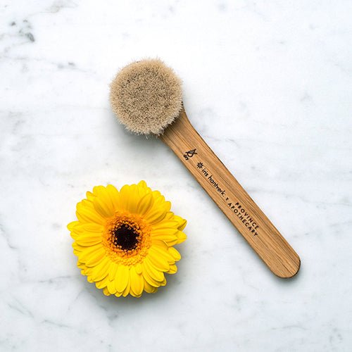 Province Apothecary Daily Glow Facial Dry Brush - Village Juicery